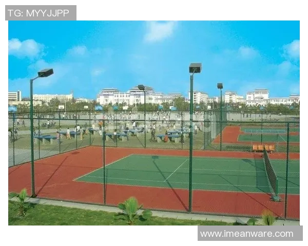 南京羽毛球队转型之路的成败得失与未来展望分析