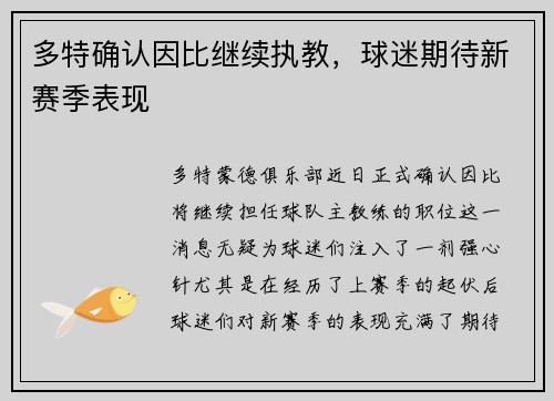 多特确认因比继续执教，球迷期待新赛季表现