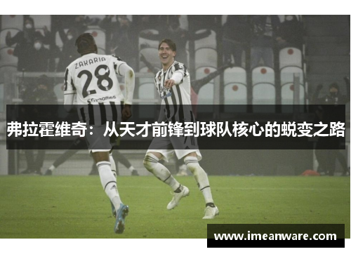 弗拉霍维奇：从天才前锋到球队核心的蜕变之路