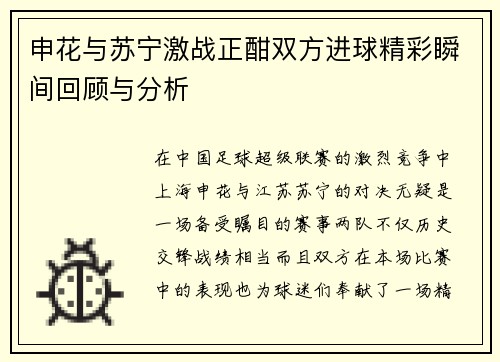 申花与苏宁激战正酣双方进球精彩瞬间回顾与分析